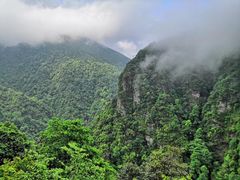 -井冈山风景名胜区