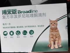 -康成宠物医院24H·CT·核磁共振