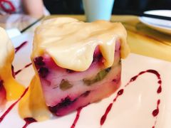 -素虎小呆鸟(西二旗店)