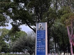 -南京奥林匹克体育中心-体育馆
