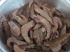 -海恋园海鲜餐馆