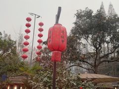 -青城甲(青城山店)