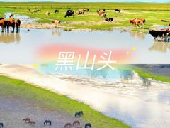 -呼伦贝尔大草原