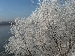 -雾凇岛