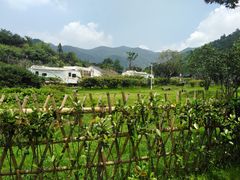 -溪口-滕头旅游景区