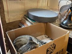 -正阳书局(西四南大街店)