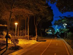 -聚龙山公园