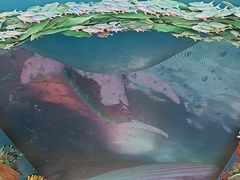 -珠海长隆海洋王国