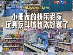 -TOYSRUS玩具反斗城(大连恒隆广场店)