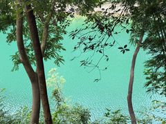 -广州市流溪河国家森林公园