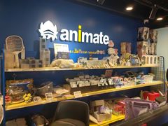 -Animate(工人体育场东路店)