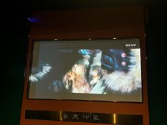 -立里春天印象·影院足疗轻养SPA(二十四城店)