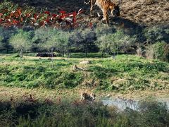 -沈阳森林动物园