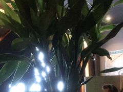 -观唐足道SPA养生会馆(南湖店)