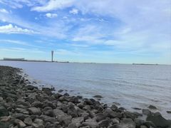 -上海吴淞炮台湾国家湿地公园