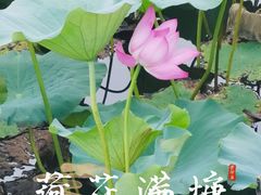 -颐和园