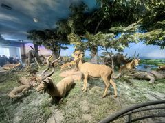 -国家自然博物馆