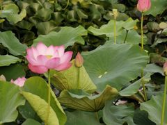 -大连步云山老汤度假山庄