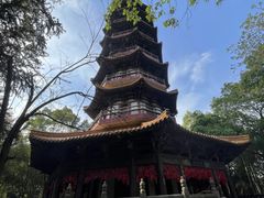 -天下玉苑