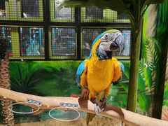 -海合安武汉极地海洋公园