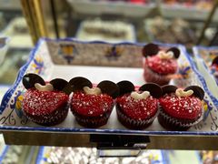 -奥兰多迪士尼动物王国乐园