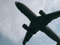 -空港花田景区