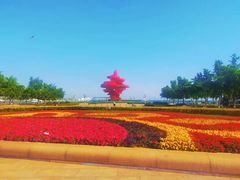 -五四广场