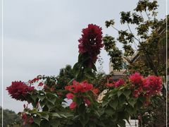 -云溪植物园