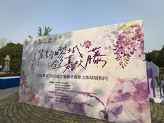 -嘉定紫藤园