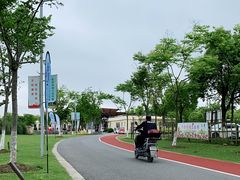 -上海长兴岛郊野公园