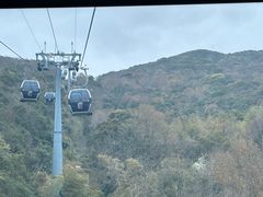 -普陀山风景区-佛顶山