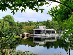 -上海共青森林公园