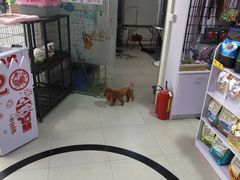 -1013 PET SHOP 宠物商店(近铁城市广场店)