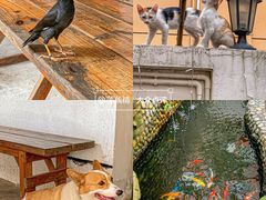 -茶米人台湾料理·精致快简餐