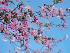 -洛阳市隋唐城遗址植物园