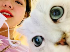 -BABIT巴比特宠物(MOMOPARK店)