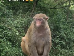 -黔灵山公园