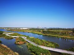 -春花秋色城市公园