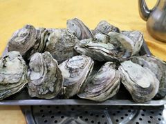 -蚝专家(北滘店)