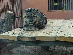 -青藏高原野生动物园