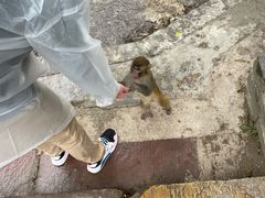 -业华湘·特色菜