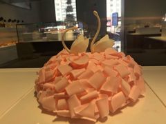 -BLACKSWAN黑天鹅(环球店)