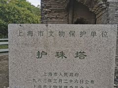 -上海佘山国家森林公园天马山园