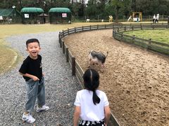 -前小桔亲子创意农场·草莓采摘·露营烧烤