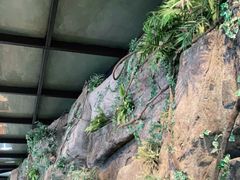 -京北渔家傲
