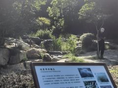 -大连植物园