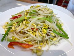 清炒豆芽-华盛丰温州大排档(东三环南路店)