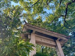 -佛山华盖山公园