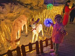 -山西通天峡景区