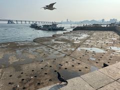 -星海广场